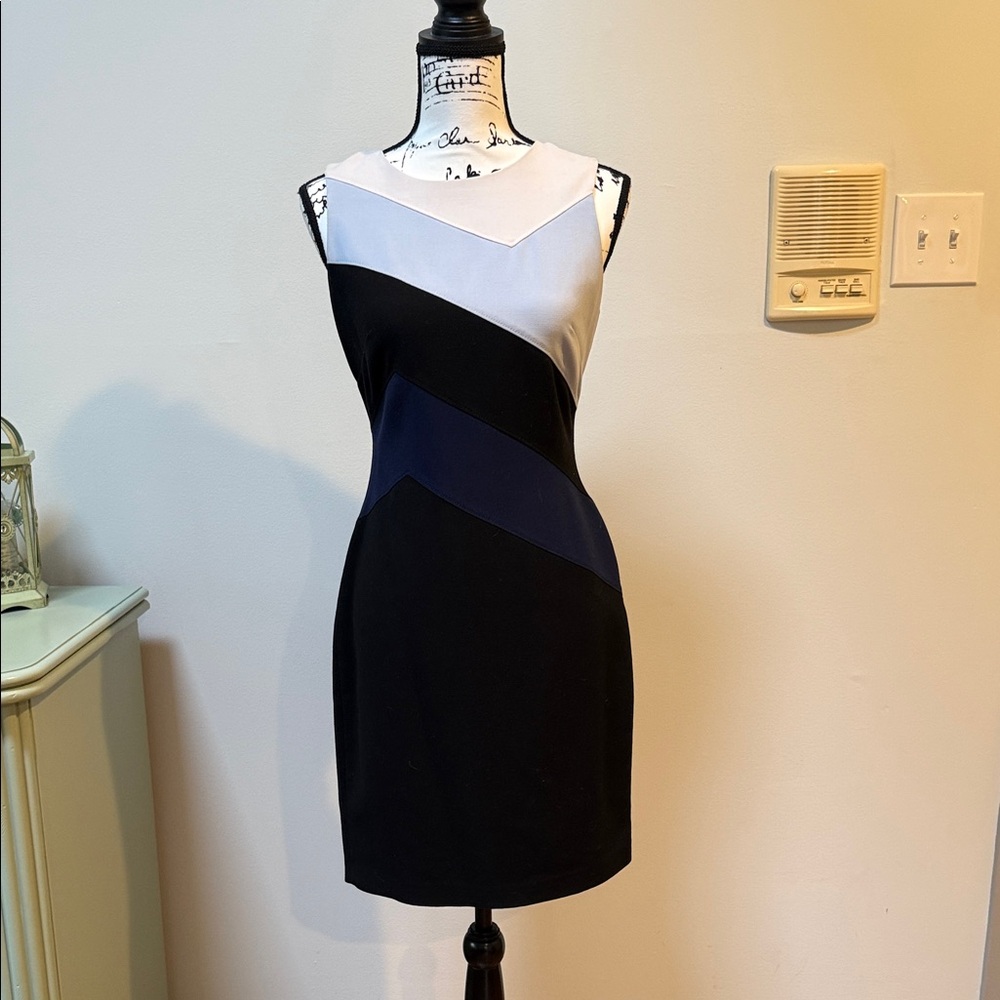 White House Black Market Colorblock Mini Dress